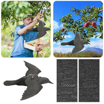 Épouvantail - BirdBlocker™ - Corbeau